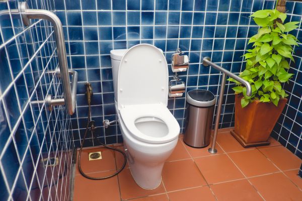 Toilet Bars Installation