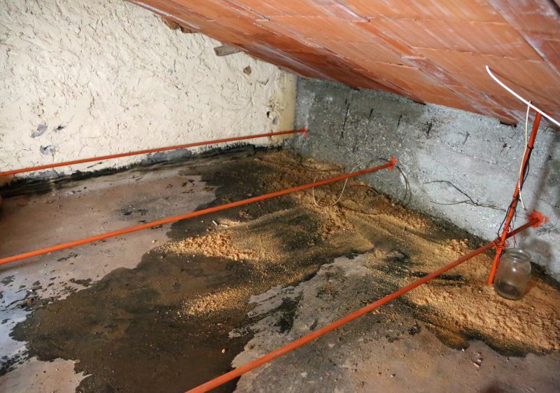 Ceiling Leak Repair Service in Houston, TX