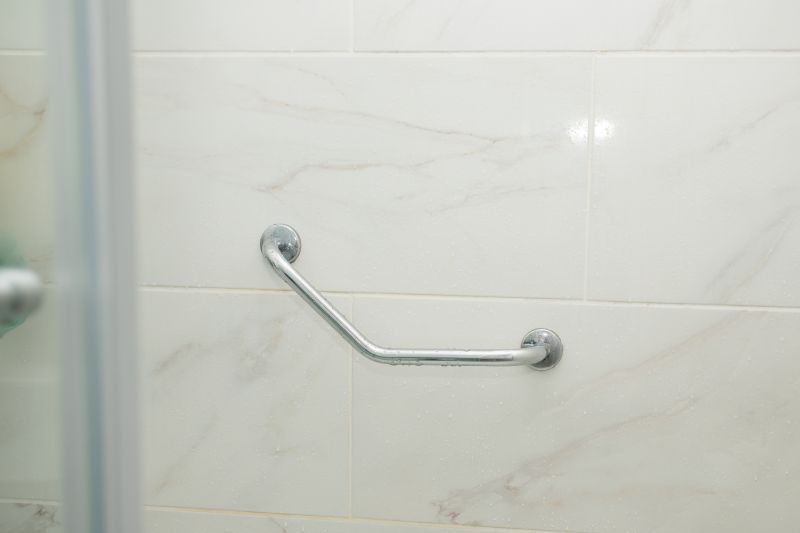Safety Grab Bars in Shower Area